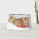 Search for dreaming of a white christmas cards Cats