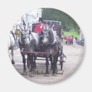 Search for buggy magnets Horse