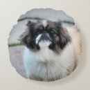 Search for shih tzu cushions Cute