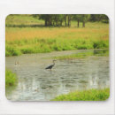 Search for wetland mousepads Water