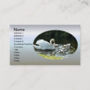 Search for chick business cards nature