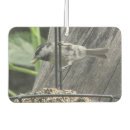 Search for animal accessory car interior car accessories Birds