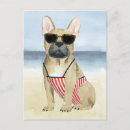 Search for pet postcards Canine