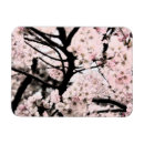 Search for sakura tree magnets Nature
