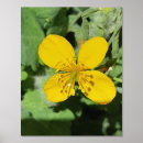 Search for garden view art Views