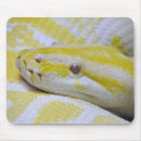 Search for python mousepads Reptile