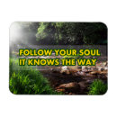 Search for soul magnets Motivation