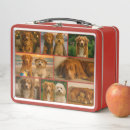 Search for unique lunch boxes Create your own