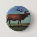 Search for elks badges Animal