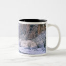 Search for nps mugs America