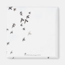 Search for flying birds magnets Nature