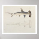 Search for attributed art Fine