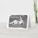 Search for kangaroo birthday cards Australian
