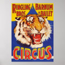Search for circus tiger art Growl