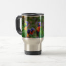 Search for rainbow lorikeet mugs Lorikeets