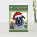 Search for saint bernard cards Santa