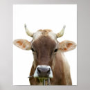Search for bovine Livestock