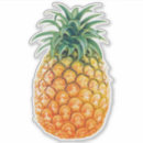 Search for golden pineapple stickers Hawaii