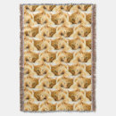 Search for orange cat blankets Kitten