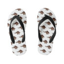 Search for dinosaur shoes Fossil