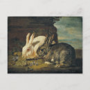 Search for rabbit painting postcards Nature