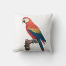 Search for parrot lover Rainbow