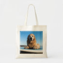 Search for dog picture bags Golden retriever