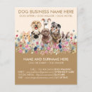 Search for pet sitter flyers Veterinary