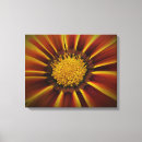 Search for gerber daisy art Petals