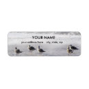 Search for gulls return address labels Water
