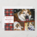 Search for three cats christmas cards Cute