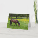 Search for pasture cards Field