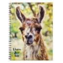 Search for llama notebooks Pun