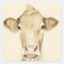 Search for black and white cows stickers Watercolor