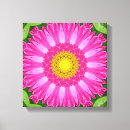 Search for aster canvas prints Pink
