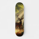Search for morning skateboards Sun