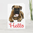 Search for boxer cards Puppy