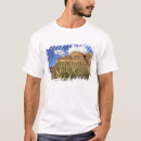 Search for pipe organ tshirts Usa