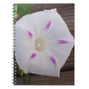 Search for morning glory notebooks Birth month flower