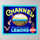 Search for vintage fruit crate labels posters Antique