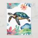 Search for abstract turtle Marine