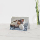 Search for sleeping cat cards Calico