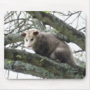 Search for opossums mousepads Animal