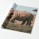Search for rhino wrapping paper Africa