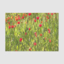 Search for landscape tissue paper Red