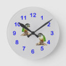Search for conures Animal