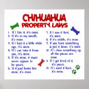 Search for funny chihuahua posters Unique
