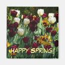 Search for maroon 5 magnets Floral