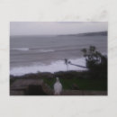 Search for sea view postcards Ocean