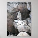 Search for cougar wild cat art Nature
